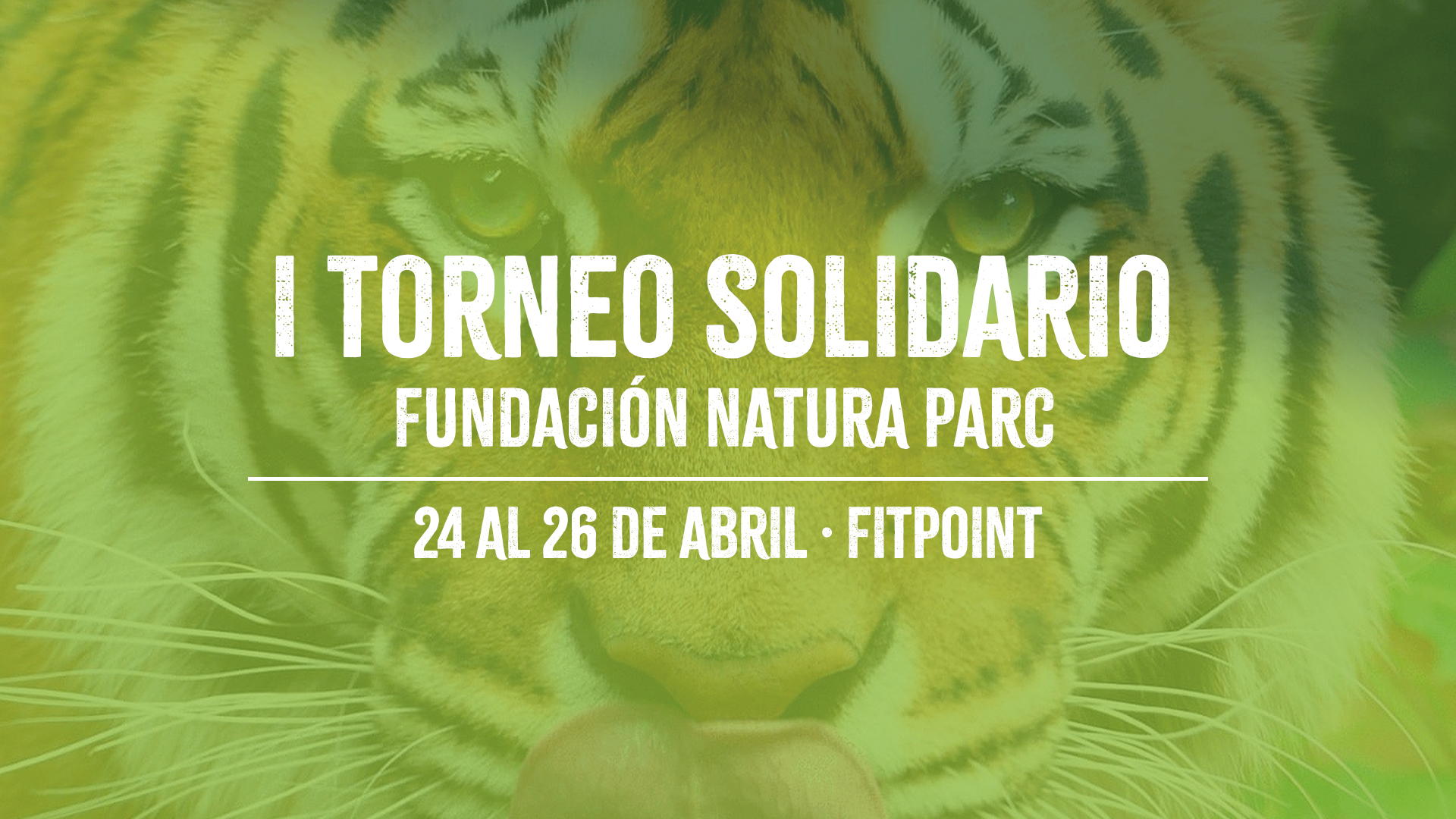 torneo solidario - Fundacion natura