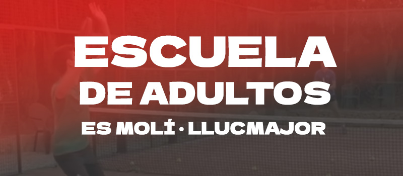 Escuela de adultos - Es moli